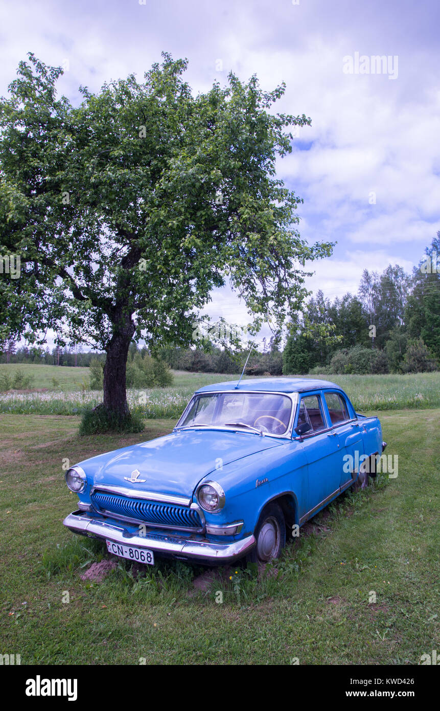 Un vecchio blu auto sovietica GAZ nel verde di un campo di erba sotto un albero Foto Stock