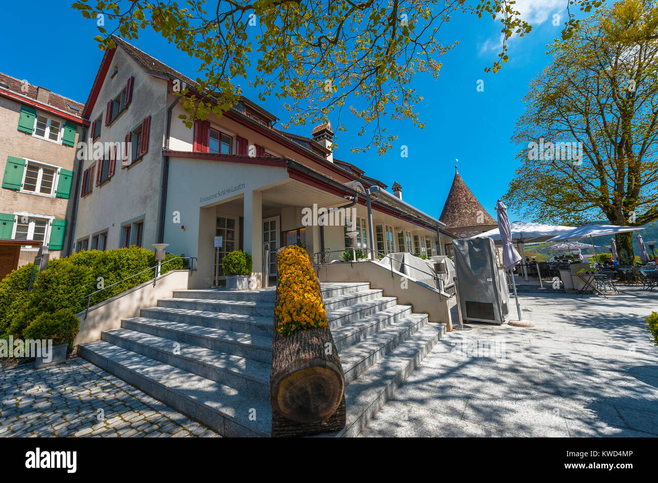 Laufen Castello a Rhein cascate. Germania Foto Stock