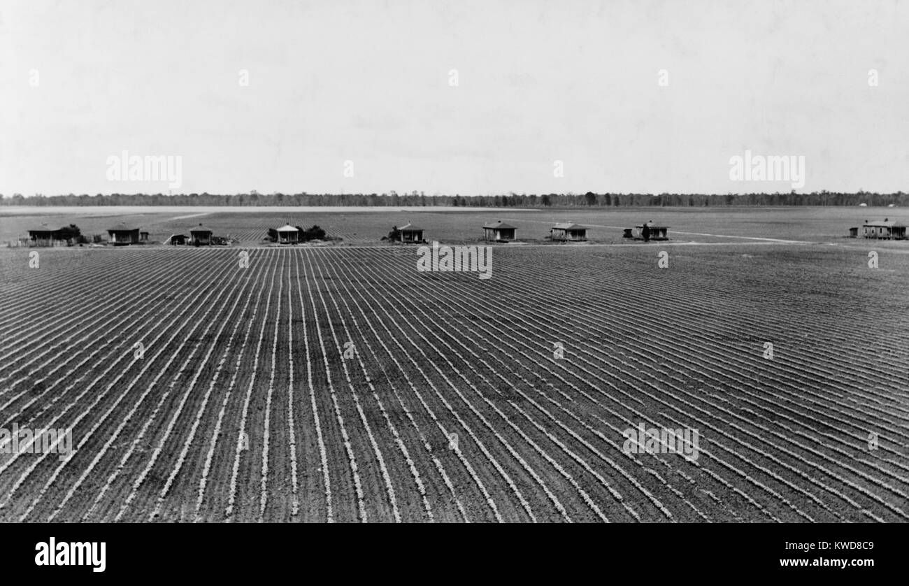 Affittuario di case su una piantagione di cotone nella forcella di rotolamento, Mississippi, maggio 1940. Le piccole case sono fuori-case e di nessuna utilità connessioni. (BSLOC 2015 17 237) Foto Stock