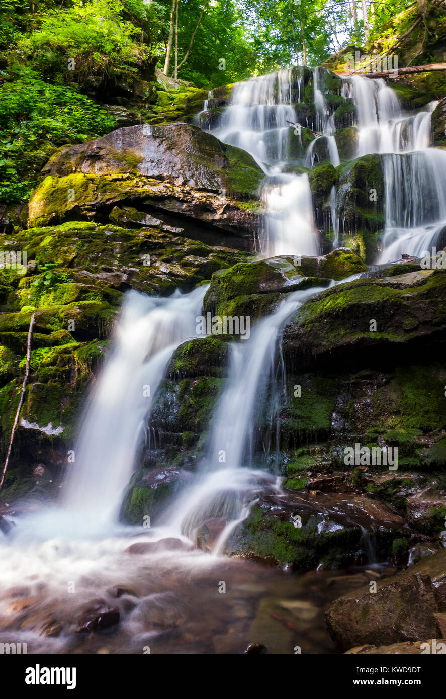 Fredde acque del possente Cascata Shypot. bellissima natura scenario estivo fra la foresta. Uno dei luoghi più visitati nelle montagne dei Carpazi della Ukr Foto Stock