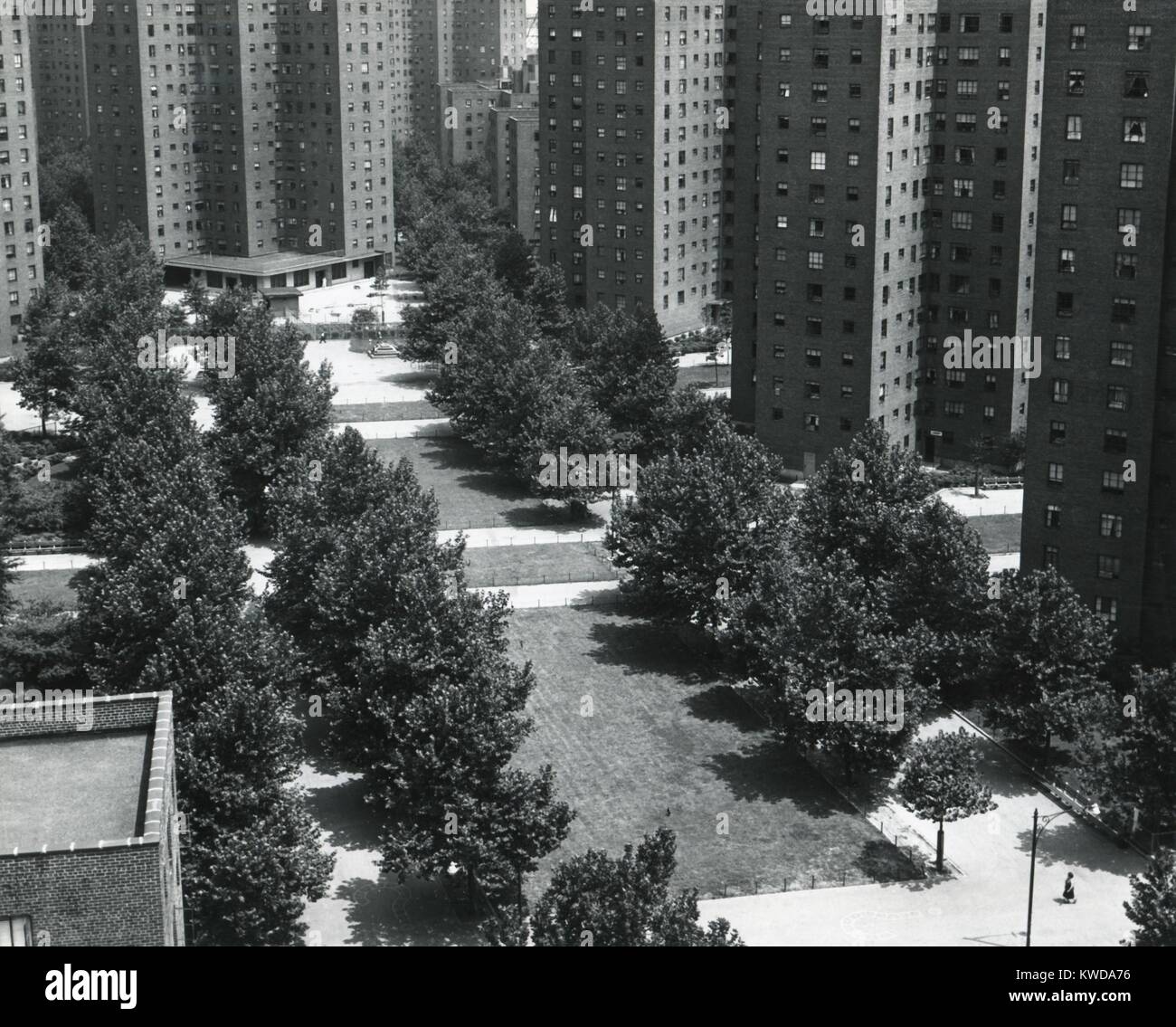 Jacob Riis case, un alloggiamento pubblico sul progetto del Lower East Side di Manhattan a New York City. Completato nel 1949, 19 edifici contengono 1.191 unità appartamento unità che ancora previsto alloggiamento per 49.000 persone nel 2012 (BSLOC 2016 7 17) Foto Stock