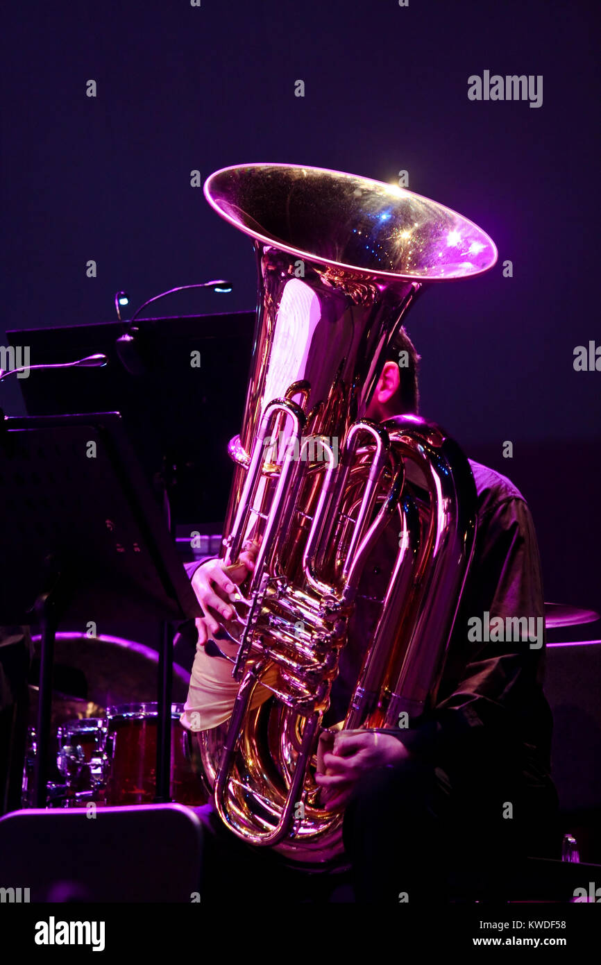 Strumento del tubo svolto dal musicista in concerto Foto Stock