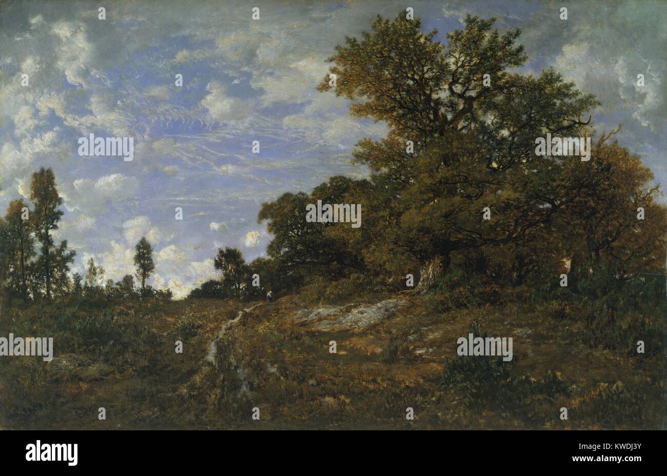 Il bordo del bosco di Monts-GIRARD, da Theodore Rousseau, 1852-54, la pittura  francese, olio su legno. A Monts-Girard nella Foresta Fontainebleau alcuni  alberi sono stati centinaia di anni. Rousseau li verniciato con