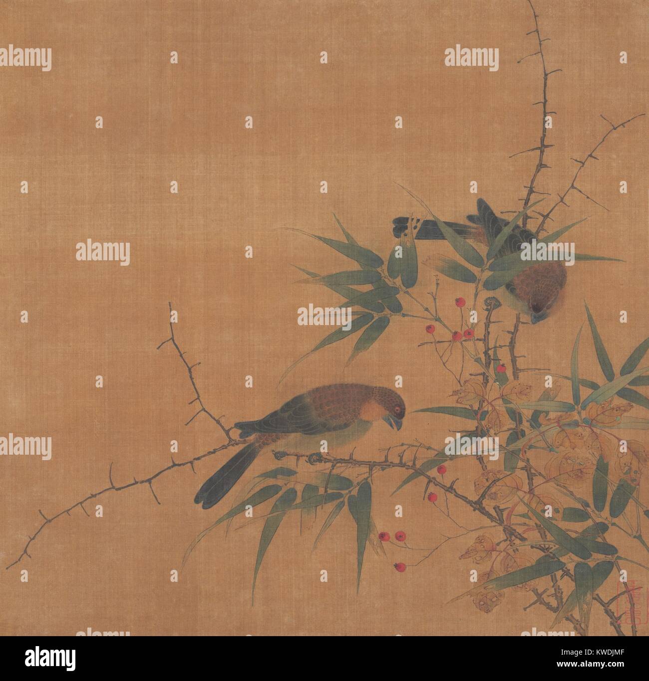Ramo di bambù con bacche e uccelli, xvii c., Cinese Pittura, dinastia Qing, inchiostro a colori su seta. Gli uccelli sono stati uno dei principali soggetti di pittori cinesi. Questi due sono rappresentati di mangiare i frutti di bosco su un ramo di un albero (BSLOC 2017 16 9) Foto Stock