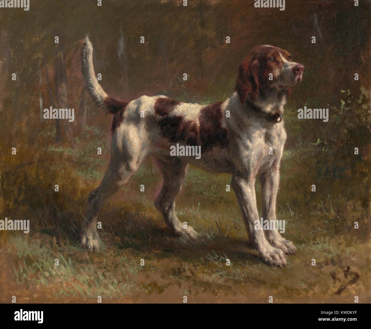 Un LIMIER BRICCHETTA HOUND, da Rosa Bonheur, 1856, la pittura francese, olio su tela. Questo è un ritratto del cane del visconte dArmaille. Bonheur era un maestro di animali dipinti e la maggior parte di fama europea femminile pittore del XIX secolo (BSLOC 2017 9 74) Foto Stock