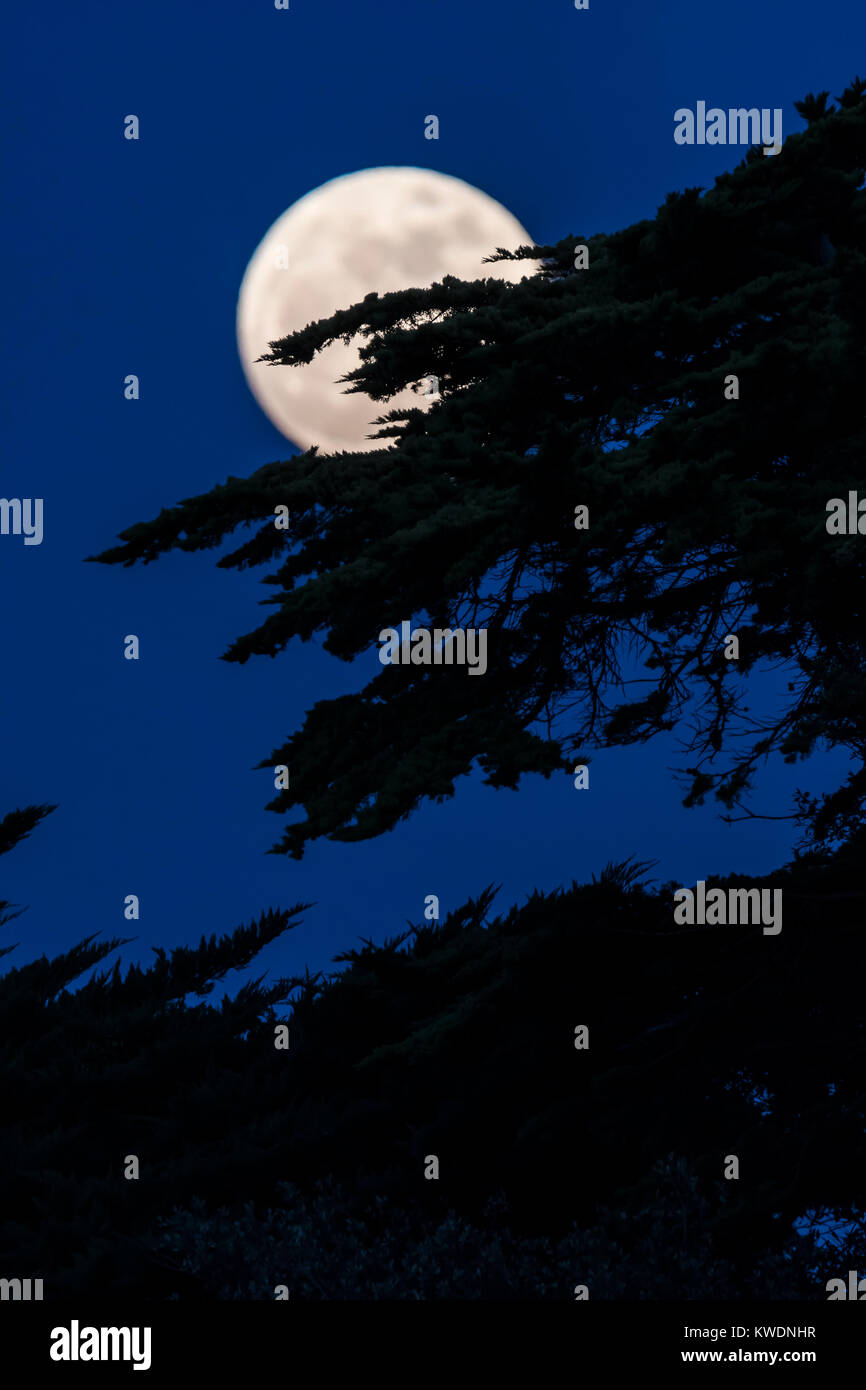 Lupo luna, anche un Supermoon e Full Moon Rising 1 gennaio 2018 nel sud dell'Inghilterra, Regno Unito. Foto Stock