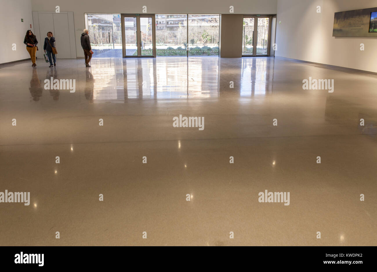 Jaen, Spagna - Dicembre 29th, 2017: arte iberica Museo in Jaen, Spagna. Sala principale Foto Stock