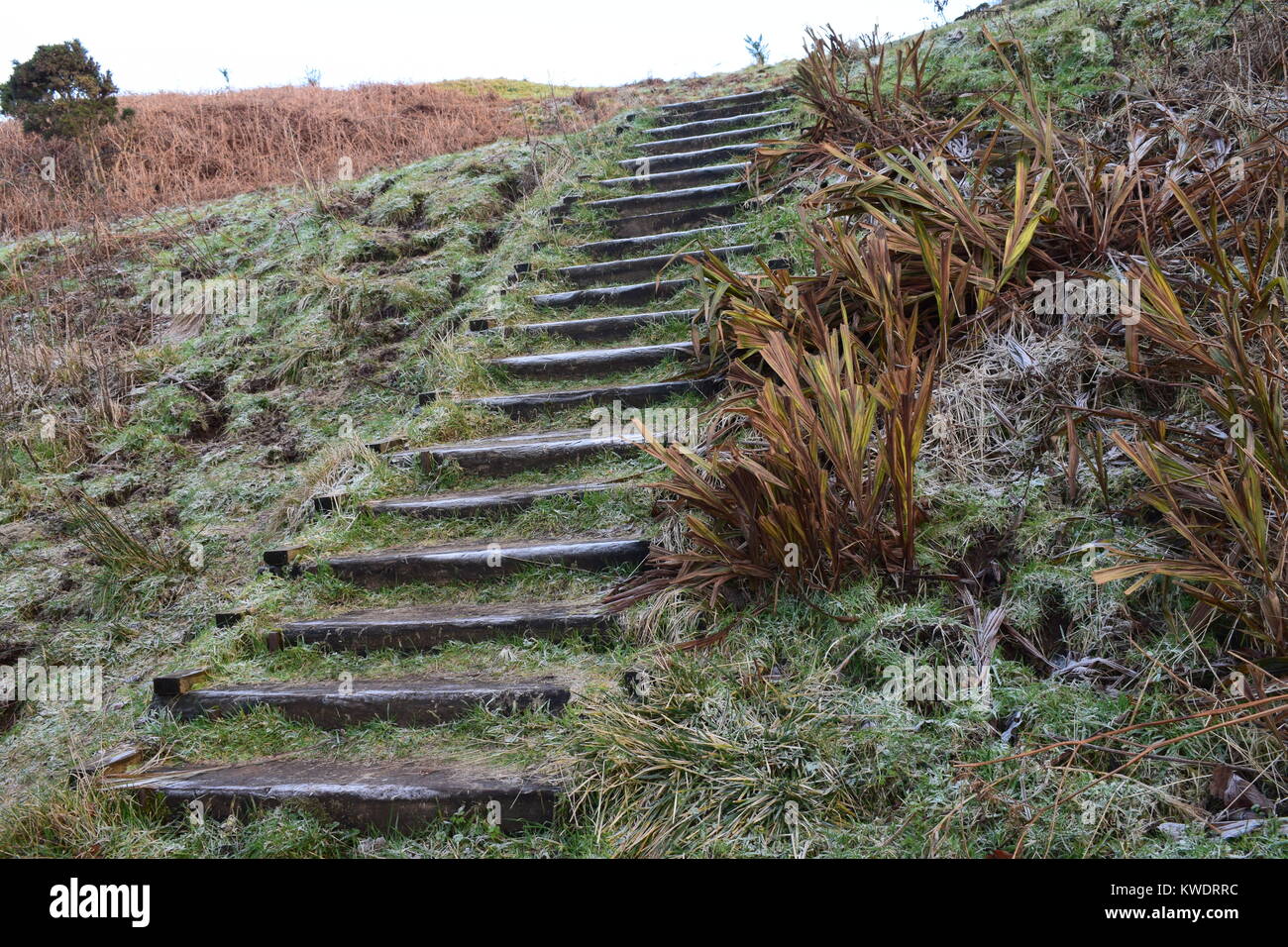 Il pupazzo di neve natura Foto Stock