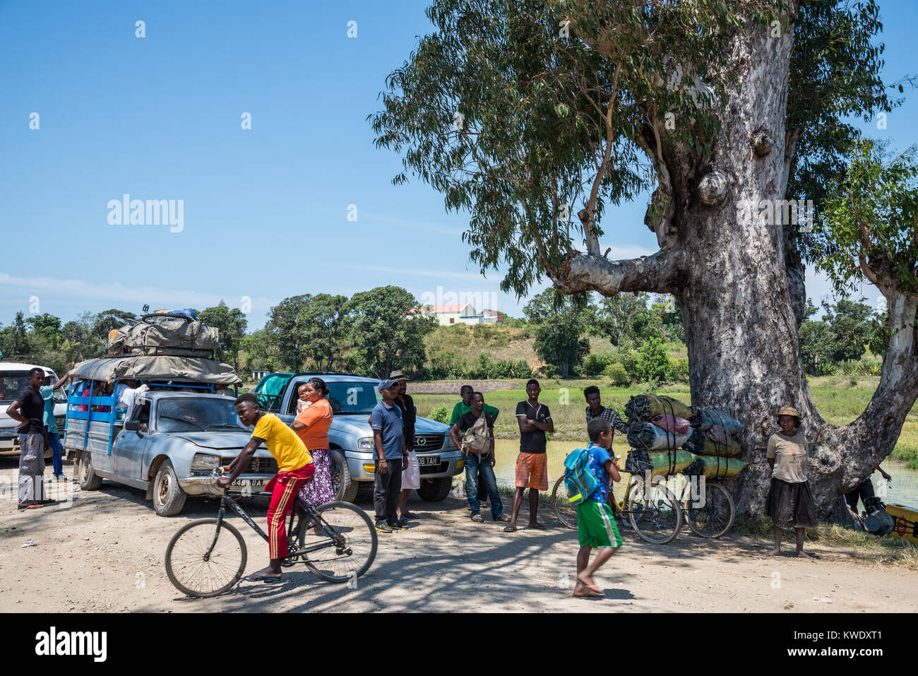 Sotto un grande albero, persone locali, insieme con le automobili, camion, biciclette, attendere per una strada bloccata per aprire. Madagascar, Africa. Foto Stock