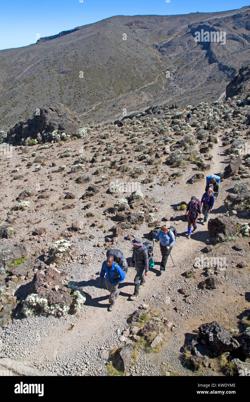 Trekking sulla parete Barranco sul Monte Kilimanjaro Foto Stock