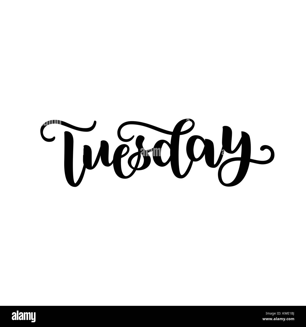 Martedì. Font della scrittura di calligraphy. Illustrazione di vettore isolato su sfondo bianco. EPS 10. Pennello nero inchiostro scritte. Giorno della settimana Illustrazione Vettoriale