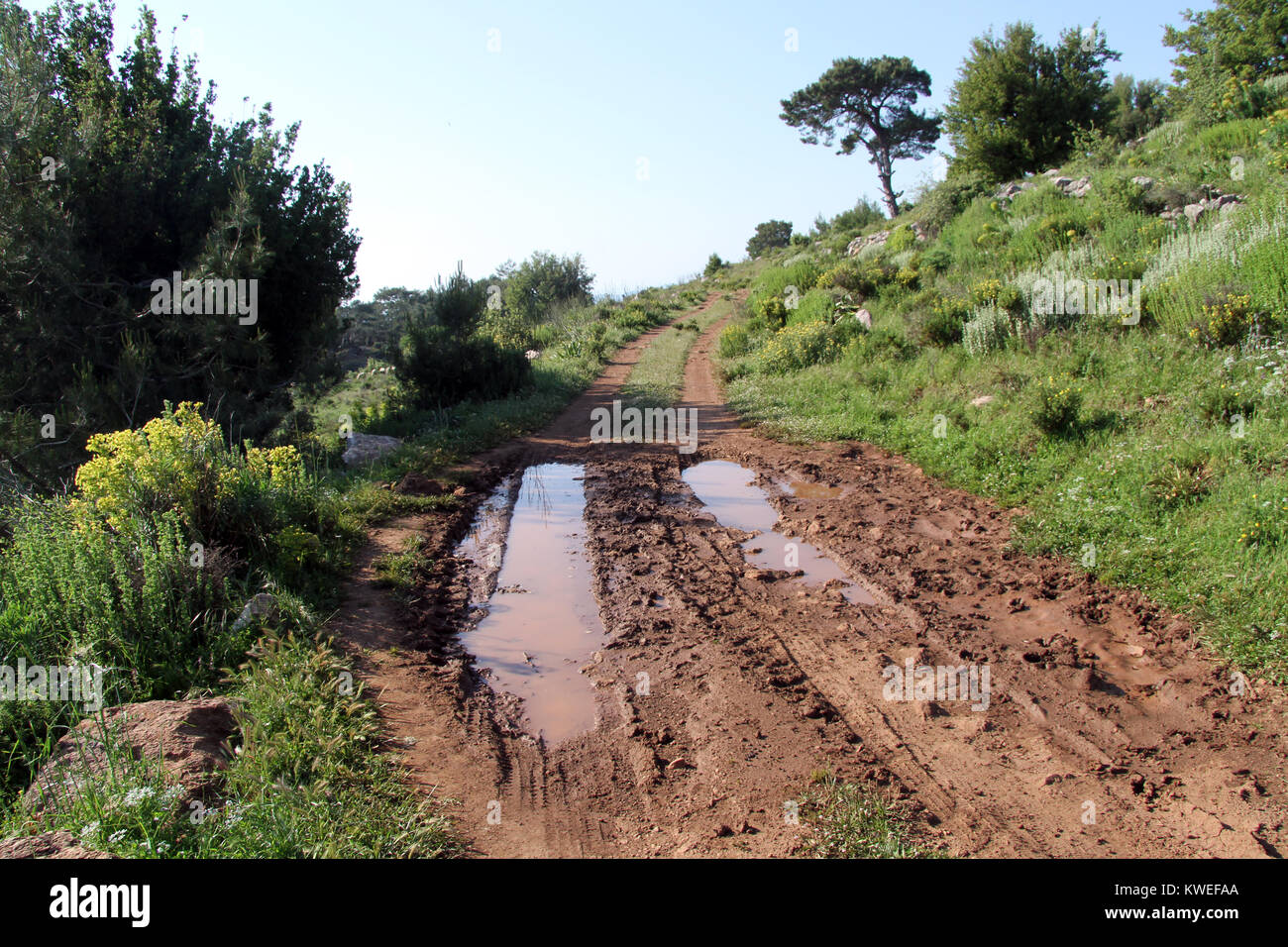 Strada sterrata in campagna in Turchia Foto Stock
