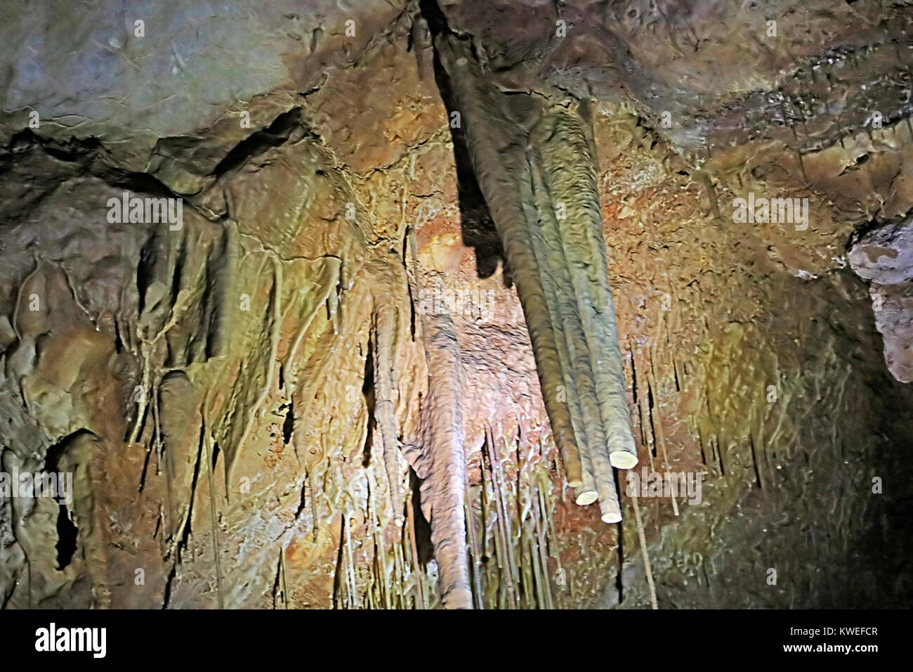 BEIT-SHEMESH, Israele - 23 settembre 2017: Avshalom Grotta, noto anche come Soreq Cave, una grande grotta di stalattiti vicino Beit-Shemesh nel centro di Israele Foto Stock