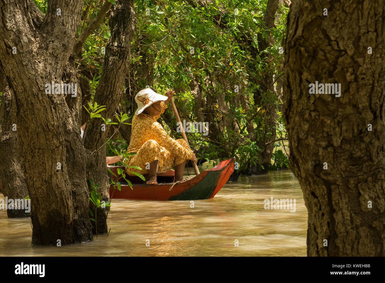 Asian cambogiani donna indossa giallo e un cappello paddling una canoa, esplorare la foresta flottante foresta allagata in Kampong Phluk, Lago Tonle Sap Cambogia Foto Stock