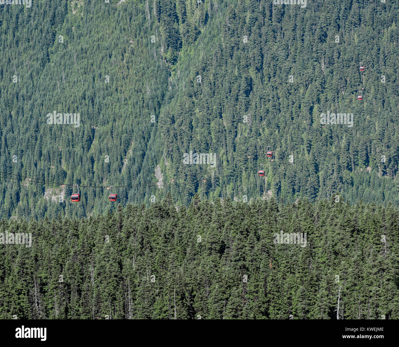 Estate su Whistler Blackcomb British Columbia Mountains nebbia e nuvole enshroud il pino / abeti e gondola cable cars - Olympic stazione sciistica Foto Stock
