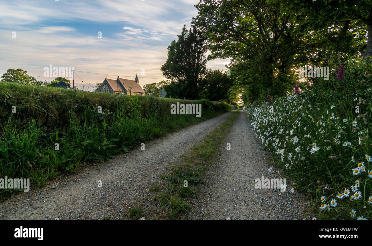 Un paese deserto percorso, con fiori selvatici che crescono in procinto e di una pittoresca chiesa all'orizzonte Foto Stock