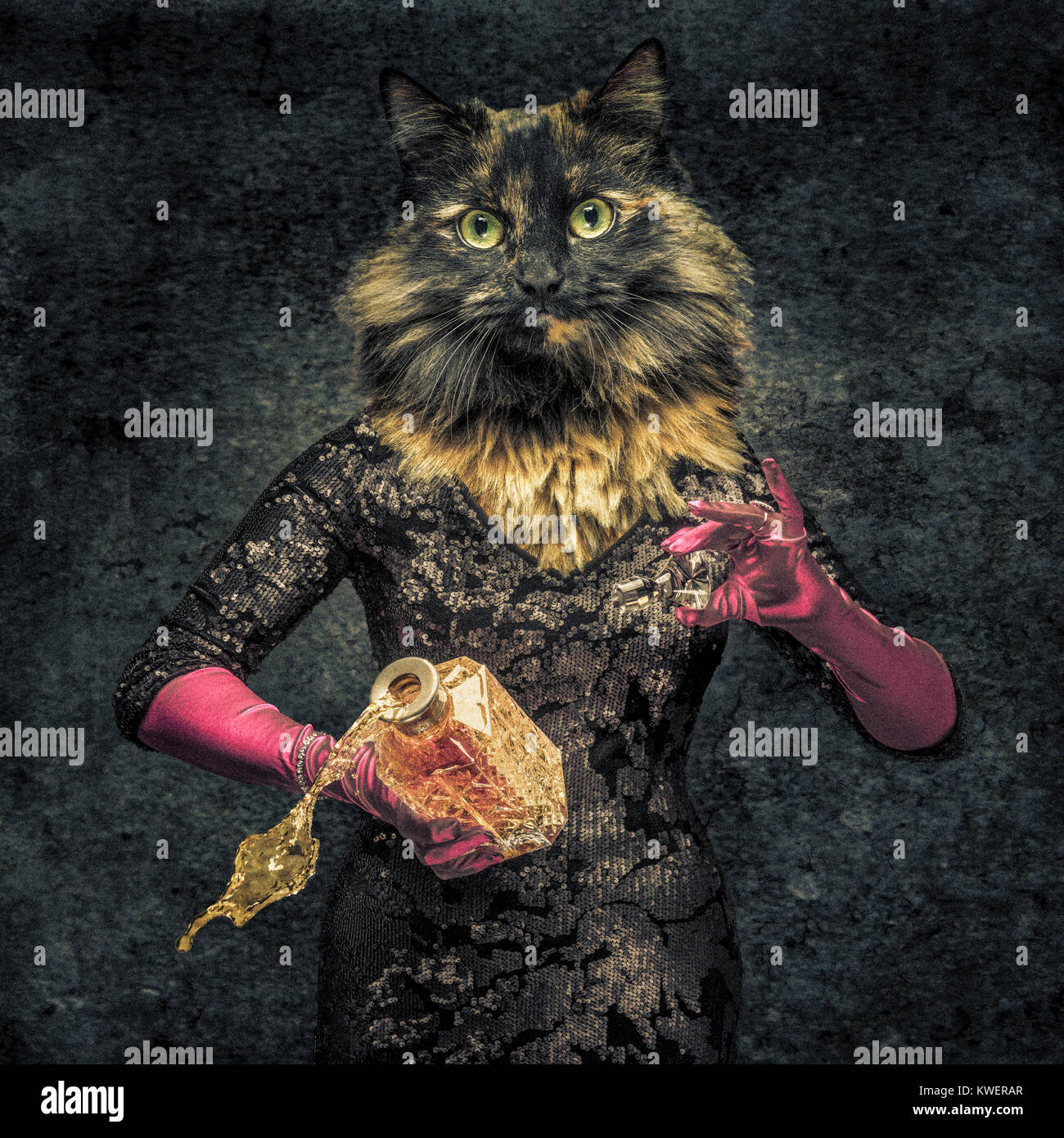 Il corpo umano con testa di gatto creatura ibrida holding decanter con bevanda fuoriuscita. Foto Stock