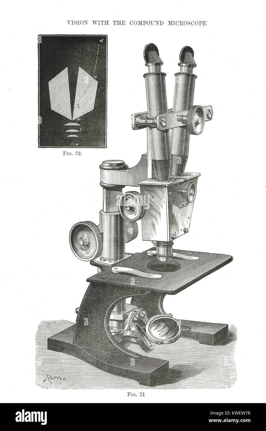 Ha inventato il primo microscopio pratico con visione binoculare ...