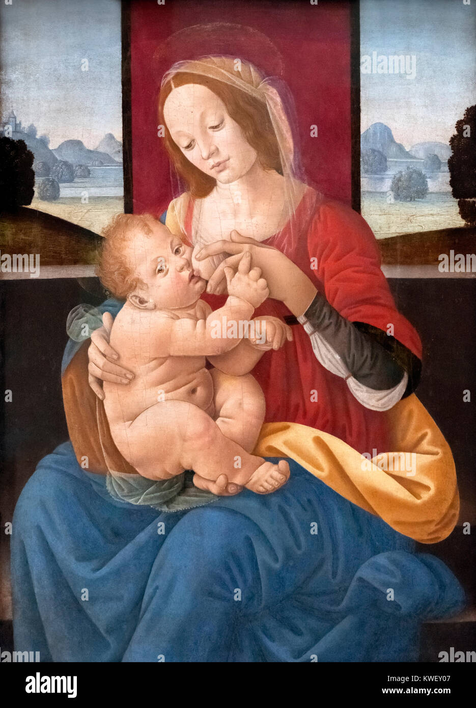La Madonna e il bambino (Madonna del latte) da Lorenzo di Credi (1459-1537), olio su pannello. Foto Stock