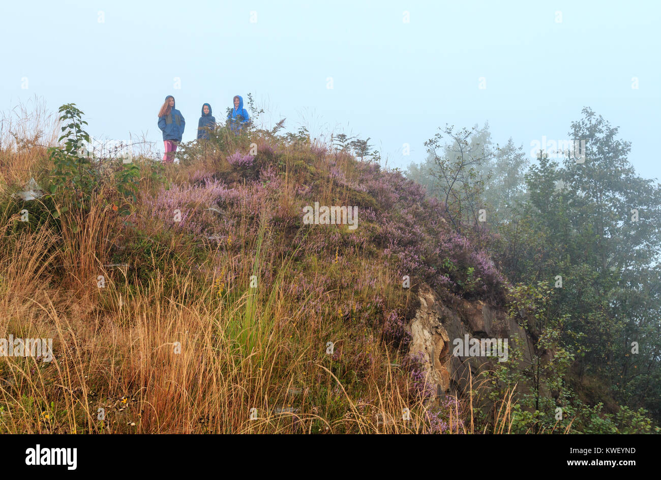 Famiglia su misty Rugiada di mattina Wild montagna collina erbosa con wild lilac heather fiori e spider web. Foto Stock