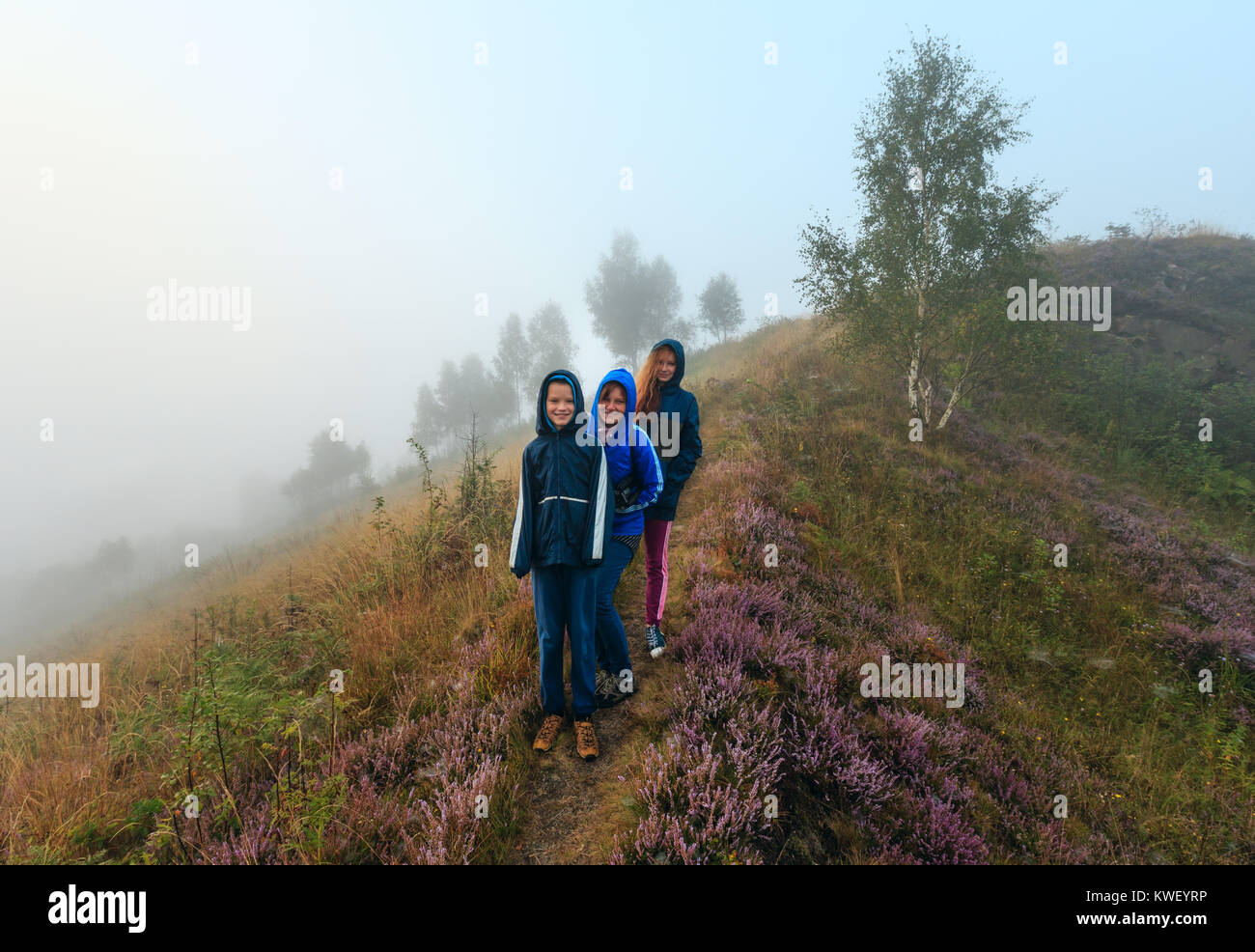 Famiglia su misty Rugiada di mattina selvatici di montagna prato erboso con wild lilac heather fiori e spider web. Foto Stock