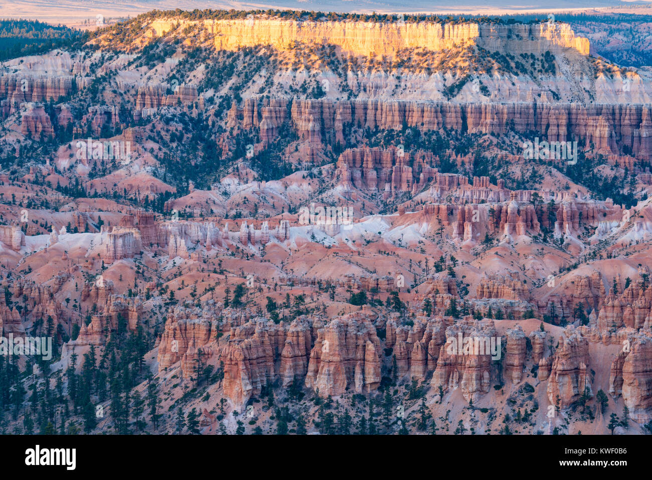 Incredibile hoodoo formazioni di pietra nell'Anfiteatro del parco nazionale di Bryce Canyon, Utah Foto Stock