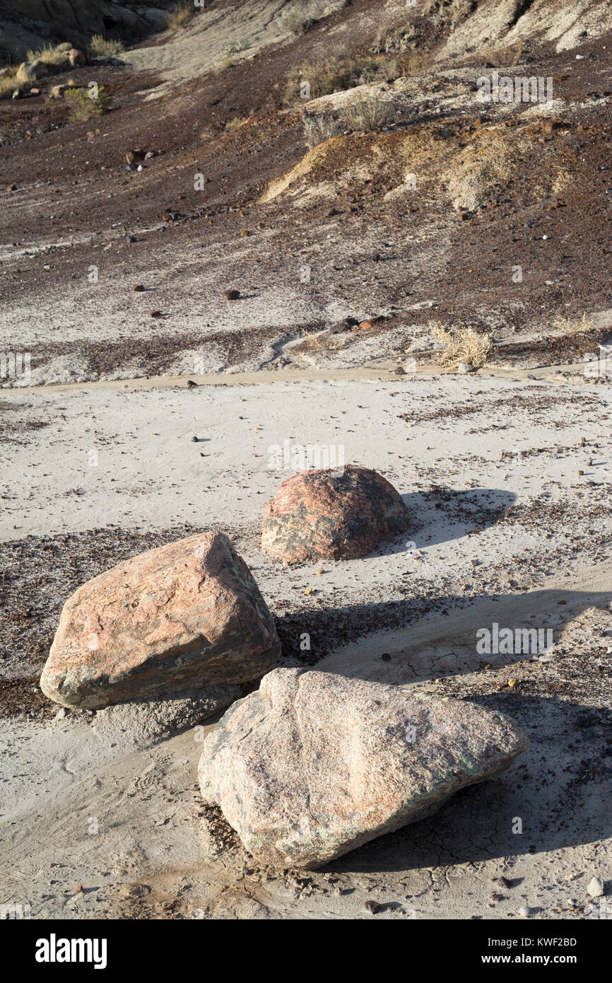 Erratics glaciale portati dal Canadian Shield e depositato durante un età di ghiaccio in che cosa ora è l'Alberta badlands, prova del passato il cambiamento climatico Foto Stock