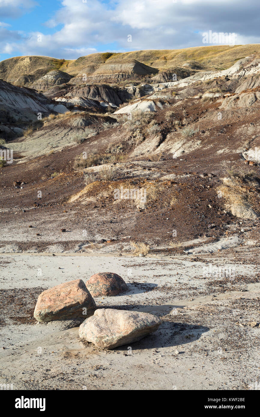 Erratics glaciale portati dal Canadian Shield e depositato durante un età di ghiaccio in che cosa ora è l'Alberta badlands, prova del passato il cambiamento climatico Foto Stock