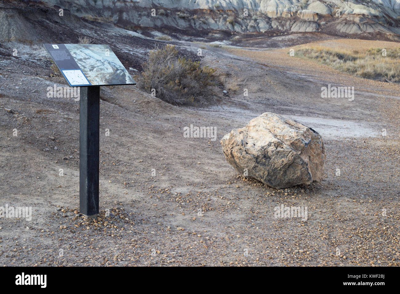 Moncone in sequoia gigante fossilizzato (Sequoiadendron) con cartello interpretativo su sentiero autoguidato in Alberta badlands Foto Stock