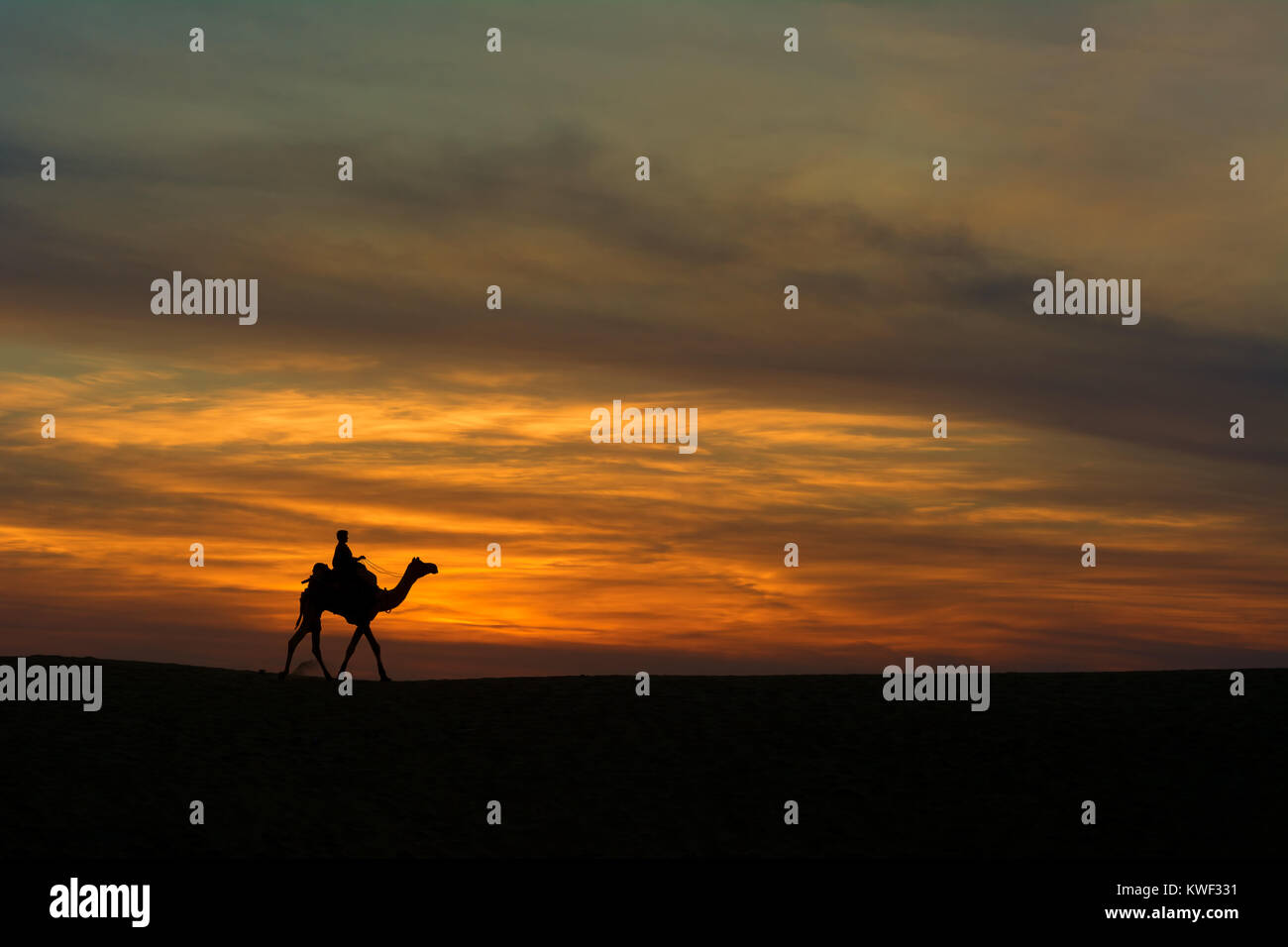 Silhouette di un cammello sulle dune di sabbia Foto Stock