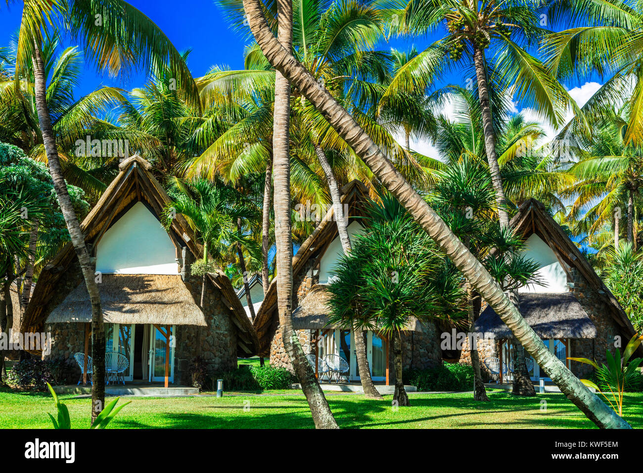 Vacanze tropicali nell'isola Mauritius. Foto Stock