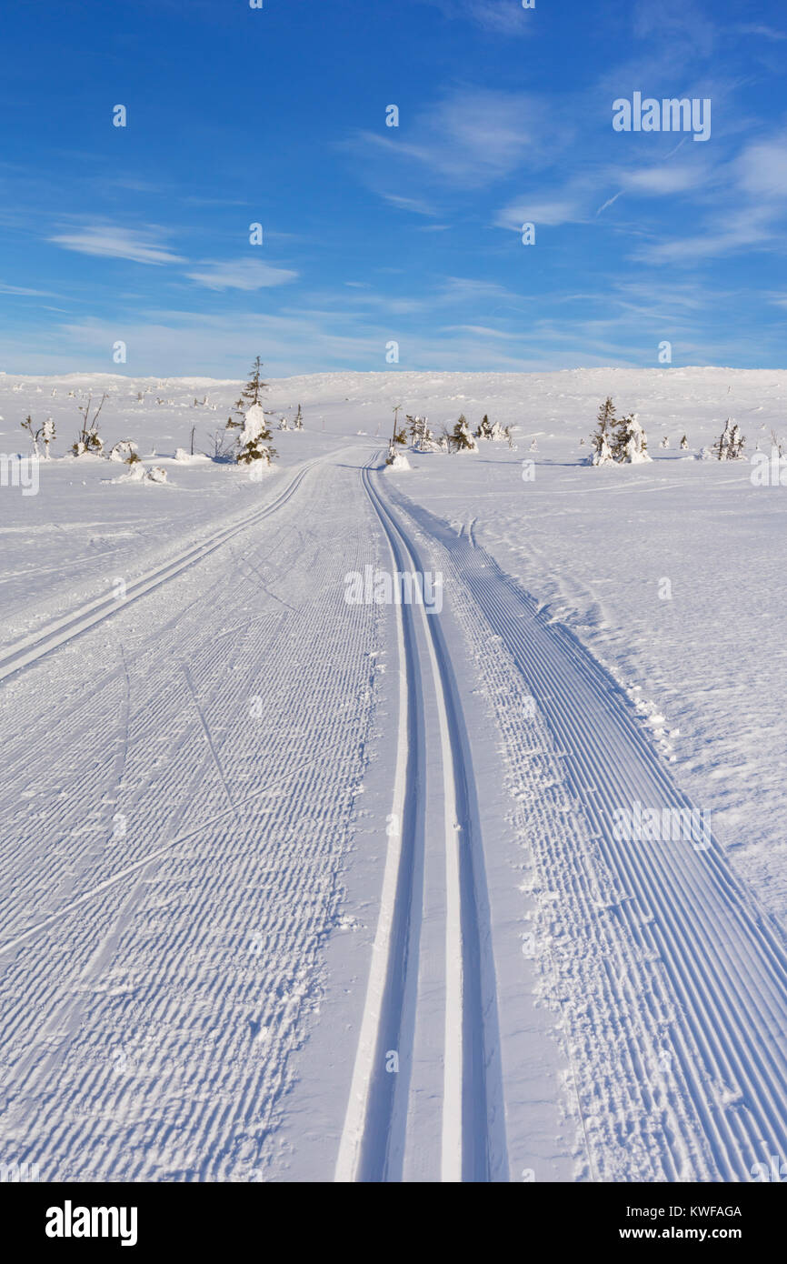 Un cross-country sentiero attraverso un paesaggio innevato in Trysil in Norvegia. Fotografato in una giornata di sole in inverno. Foto Stock