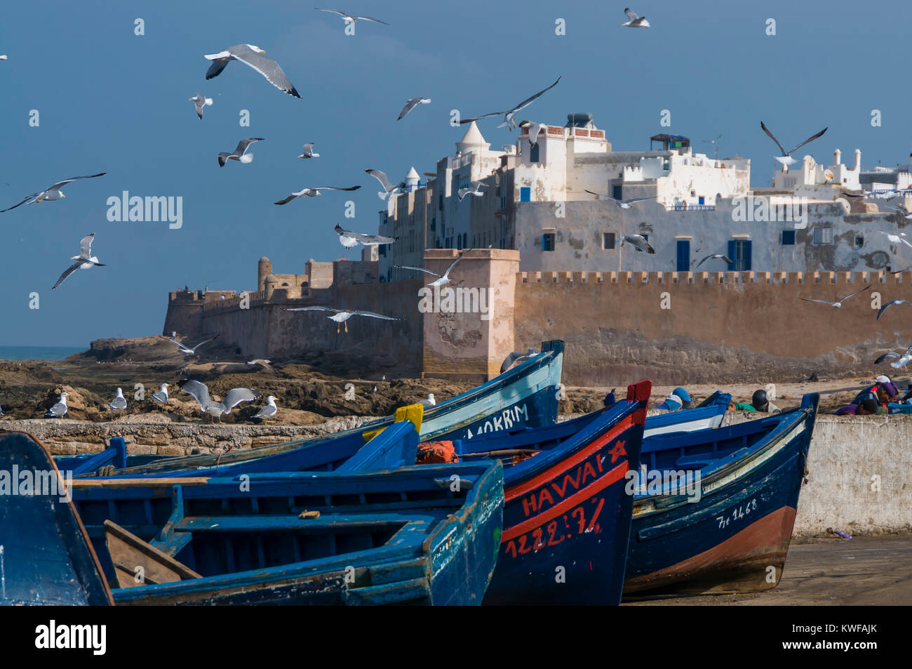 Bastioni circostanti la città di Essaouira, Marocco costa Atlantica. Foto Stock