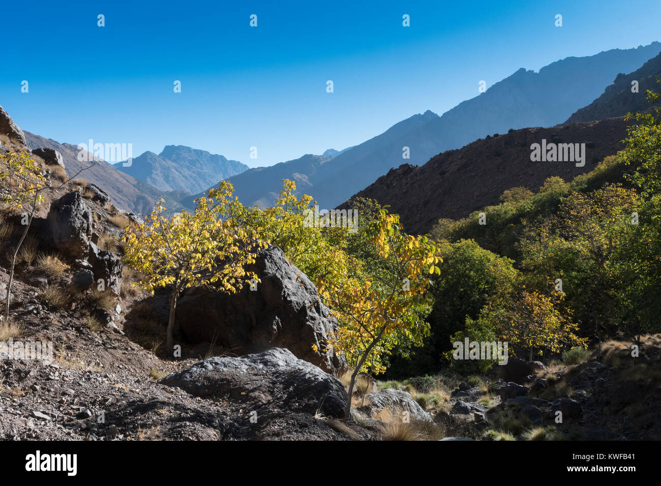 Valle Imlil Walnut Grove, inizio del trekking di montagna Foto Stock