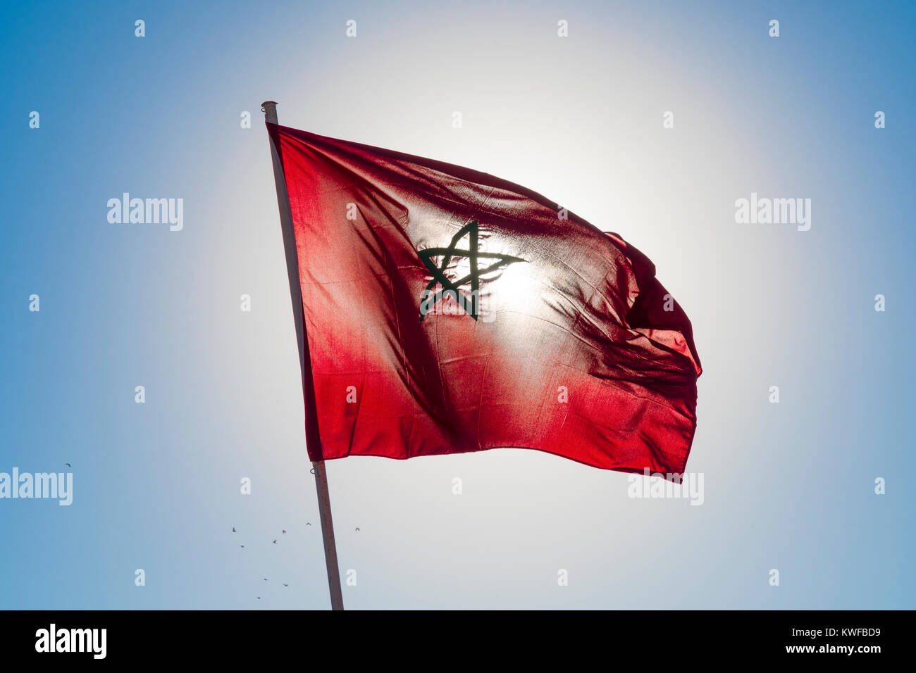 Bandiera marocchina retroilluminati. Foto Stock