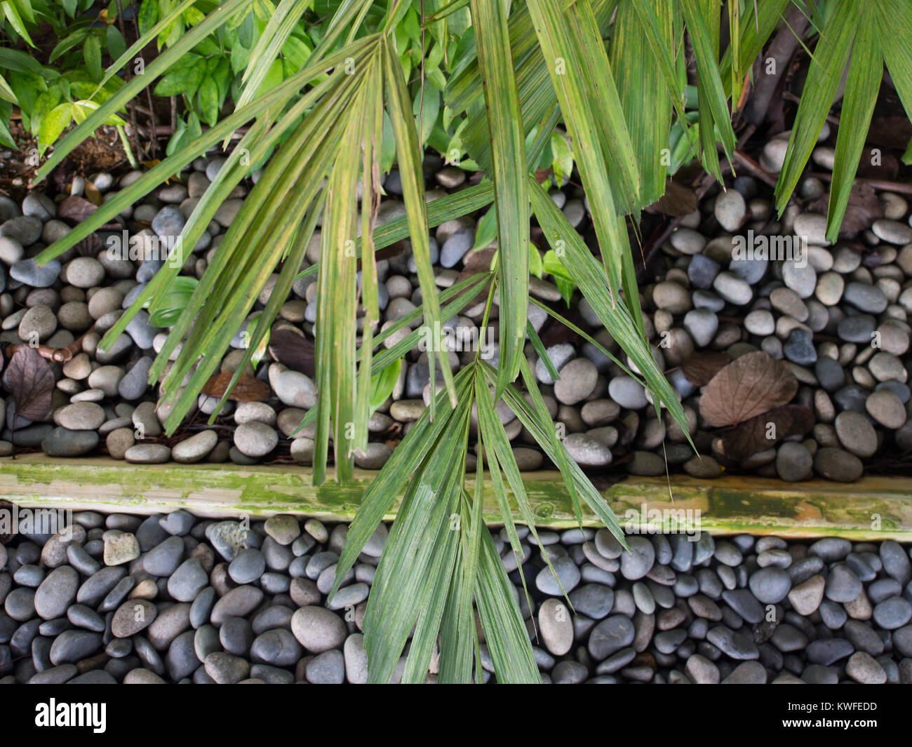 Giardino di ghiaia Foto Stock