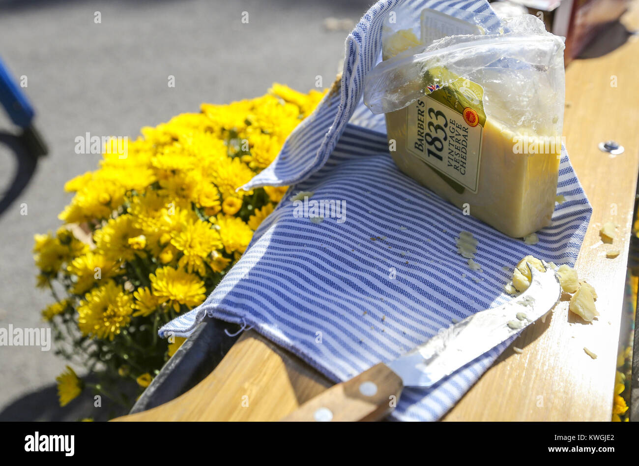 Davenport, Iowa, USA. 22 ottobre, 2016. Un formaggio e cracker setup è visto sul retro di un pilota della bici mentre arrestato per il picnic durante il quarto anno Quad-Cities Tweed Ride in Davenport Sabato 22 Ottobre, 2016. Una folla di oltre duecento montato le loro biciclette in tweed abito su questo anno di corsa, viaggiando da East Village di Davenport al credito Island Park per un picnic prima di tornare al villaggio per una cerimonia di premiazione e dopo essere partito. Credito: Andy Abeyta/Quad-City volte/ZUMA filo/Alamy Live News Foto Stock