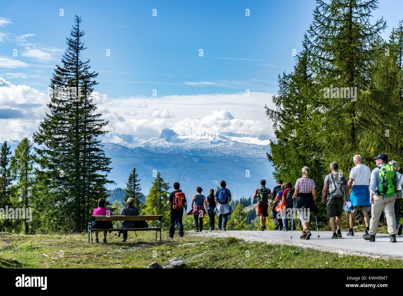 Vista del Dachstein mountain range, dal Tauplitzalm, pascoli di montagna, Austria, Foto Stock