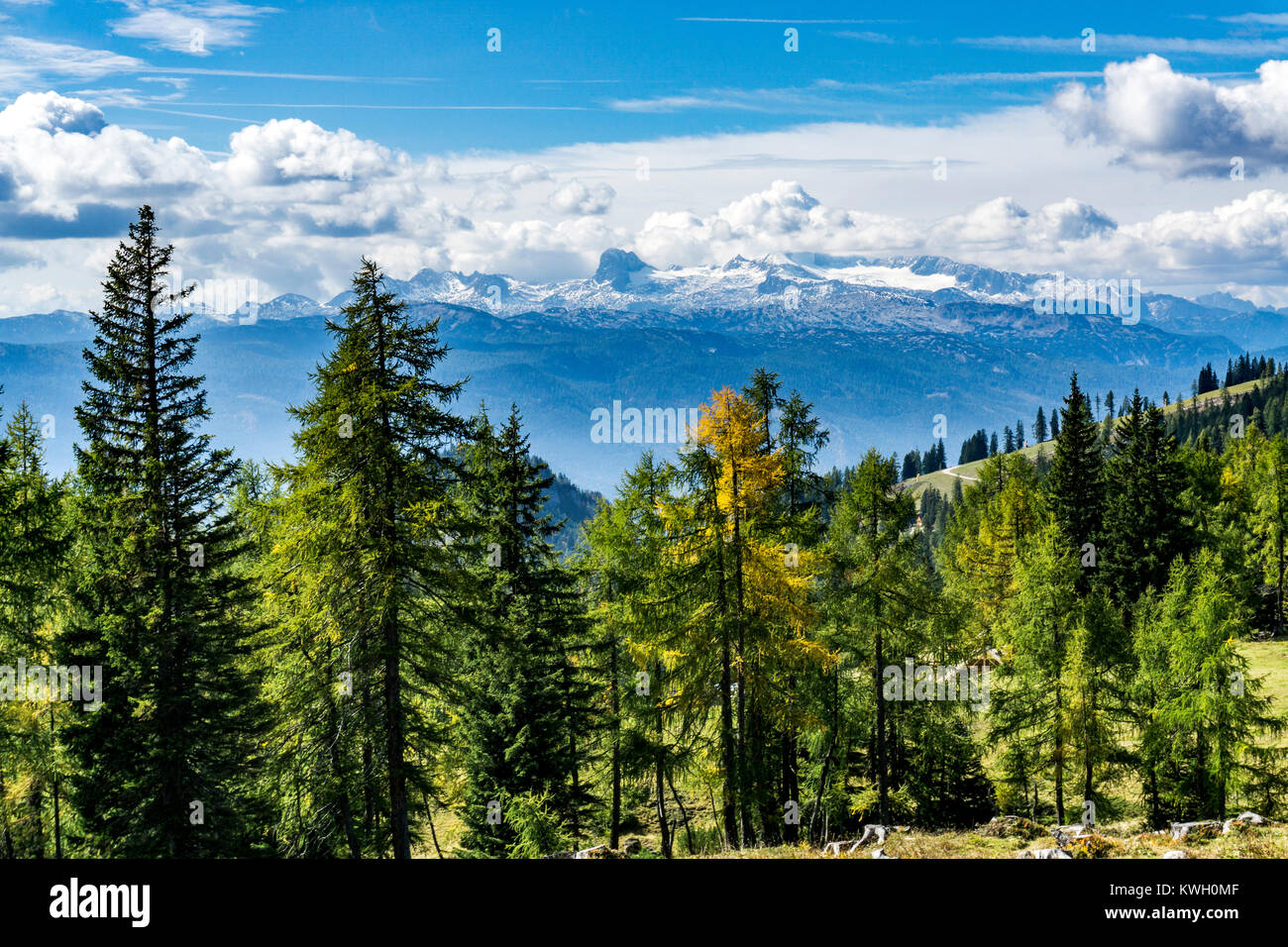 Vista del Dachstein mountain range, dal Tauplitzalm, pascoli di montagna, Austria, Foto Stock
