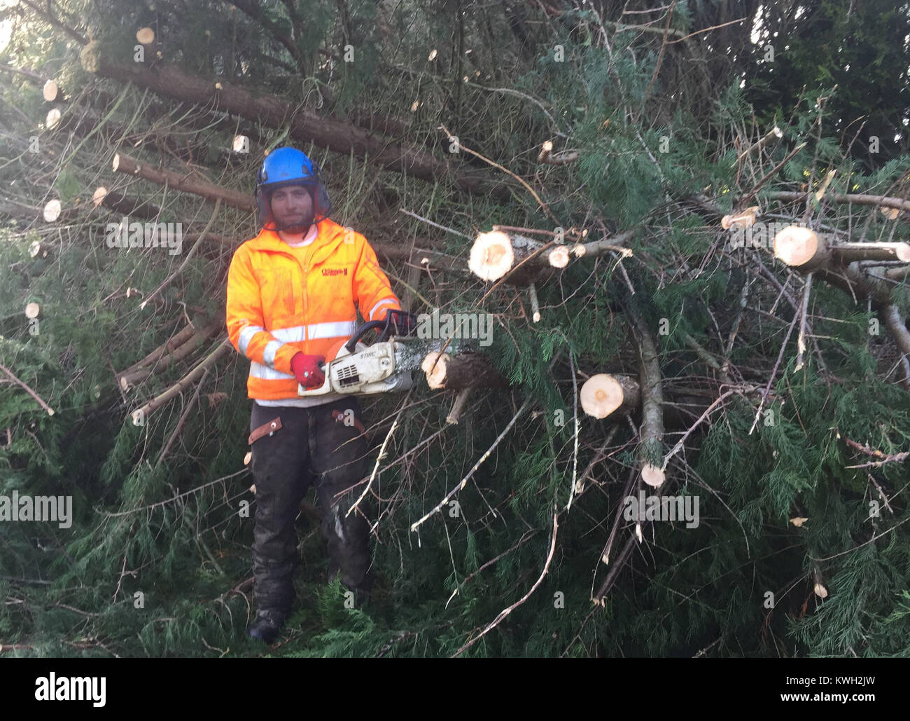 Un operaio il taglio di alberi caduti vicino Crossgar, Co Down dopo la tempesta Eleanor scatenato violenti venti fino a 100 mph in tutto il Regno Unito, lasciando migliaia di case senza potere e di ferire gli automobilisti. Foto Stock