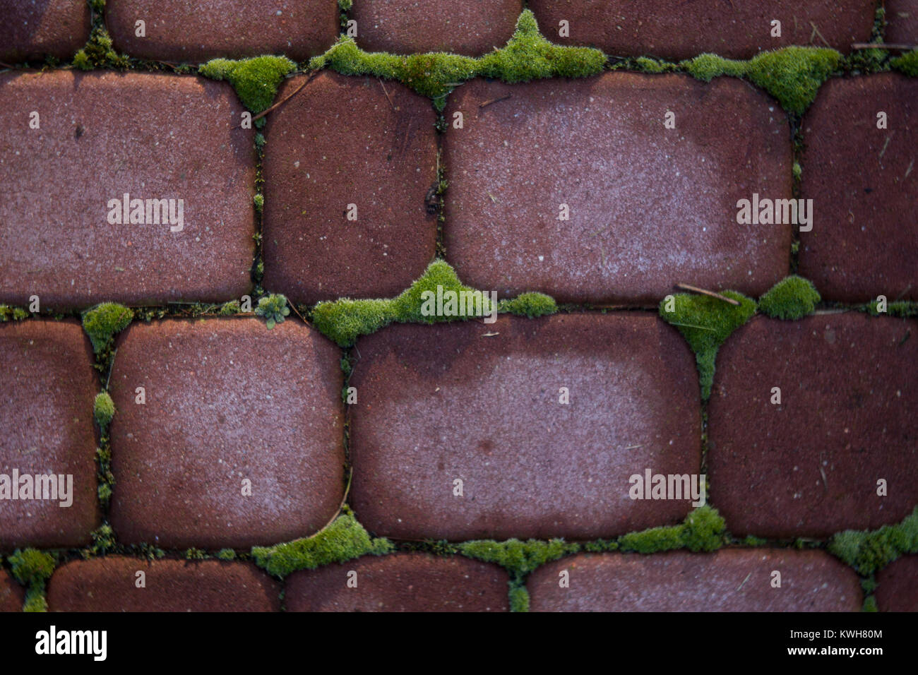 Red muro in mattoni con moss per lo sfondo Foto Stock