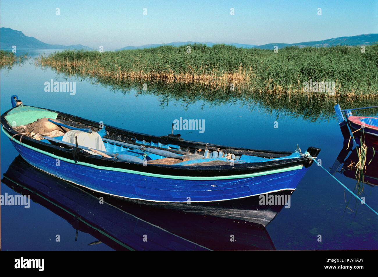 In legno di colore blu in barca a remi ormeggiate vicino Canneti sul lago Iznik, Iznik, Turchia Foto Stock