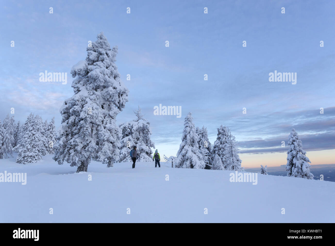 La madre e il figlio in piedi nella neve fresca tra abeti congelate su una montagna panoramica in Twilight, Krvavec, Slovenia. Foto Stock