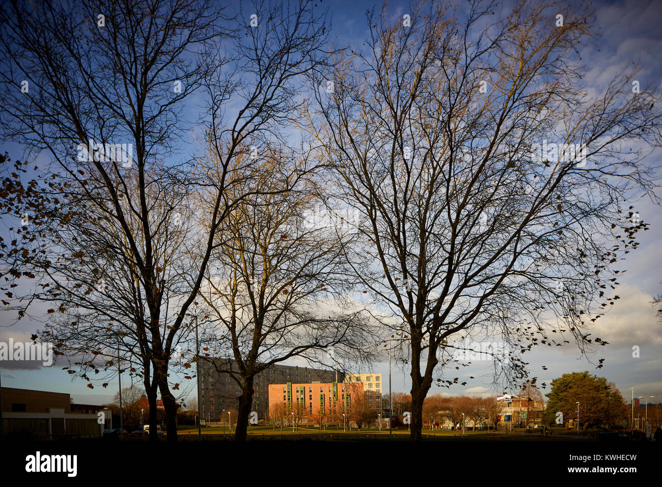 Salford University campus student accommodation in Peel Park sito che mostra i grandi spazi verdi Foto Stock