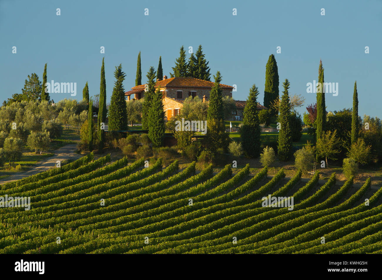 Una villa toscana e vigneto in Italia. Foto Stock