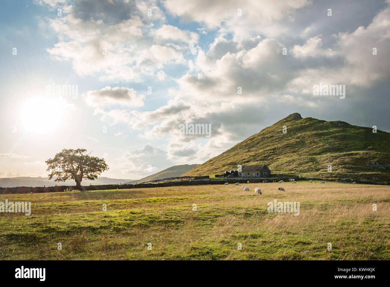 Thorpe Cloud hill in Dovedale sul Derbyshire/Confine di Staffordshire, Inghilterra Foto Stock