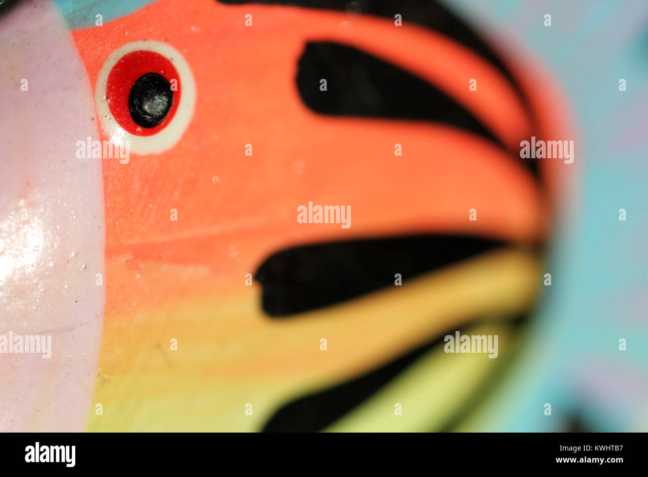 Immagine macro di pesce Balinese mobile Foto Stock