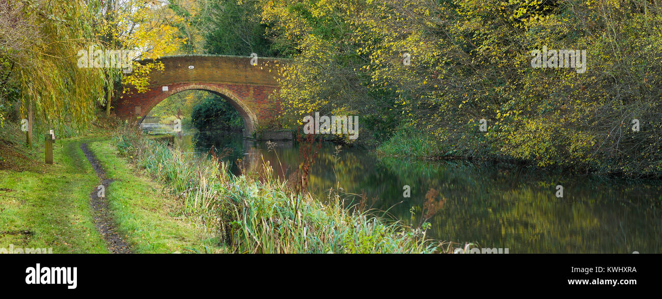 Un'immagine del Grand Union Canal nel bellissimo colore di autunno shot a Newton Harcourt, Leicestershire, England, Regno Unito Foto Stock