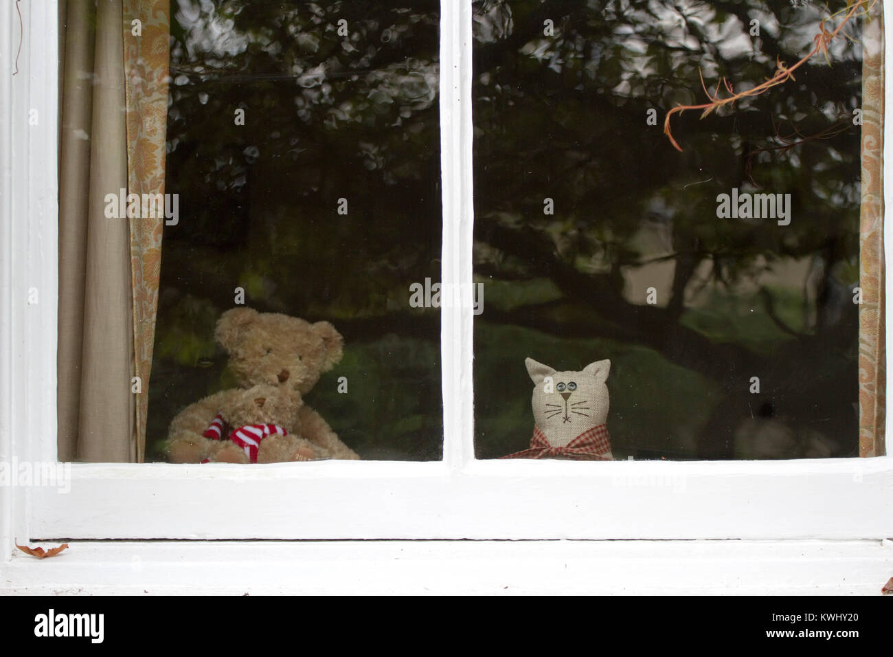 Un orsacchiotto di peluche e un peluche gatto guardare fuori da una finestra ad anta Foto Stock