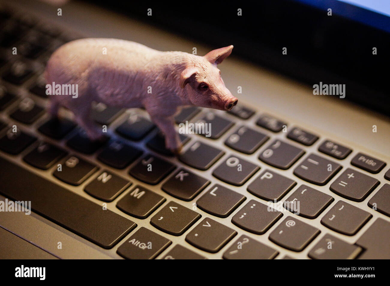 Maiale giocattolo sulla tastiera portatile - animali domestici e di agricoltura nell'era digitale Foto Stock